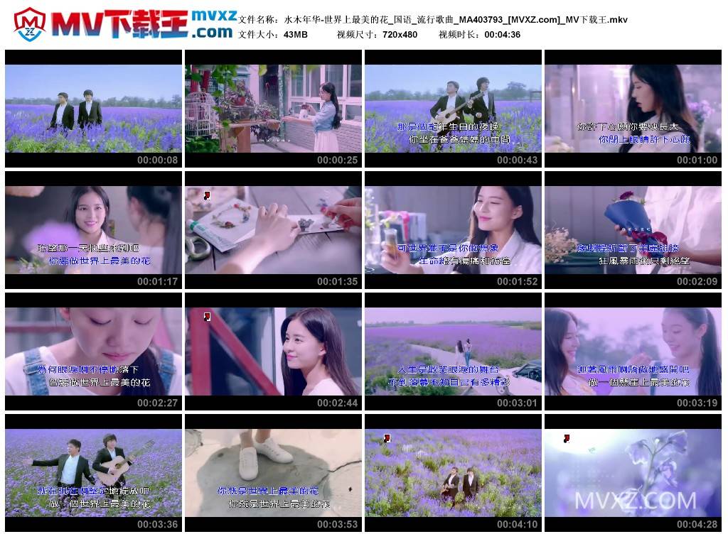水木年华-世界上最美的花_国语_流行歌曲_MA403793